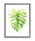 Stupell Industries Monstera Leaf Tropical Plant Over White in Black Frame Wall Art